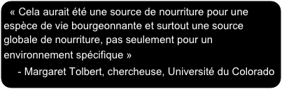 « Cela aurait été une source de nourriture pour une espèce de vie bourgeonnante et surtout une source globale de nourriture, pas seulement pour un environnement spécifique »      - Margaret Tolbert, chercheuse, Université du Colorado